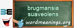 WordMeaning blackboard for brugmansia suaveolens